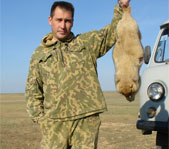 Хороший экземпляр, не менее 7 кг.