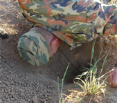 Как же тебя вытащить из норы?