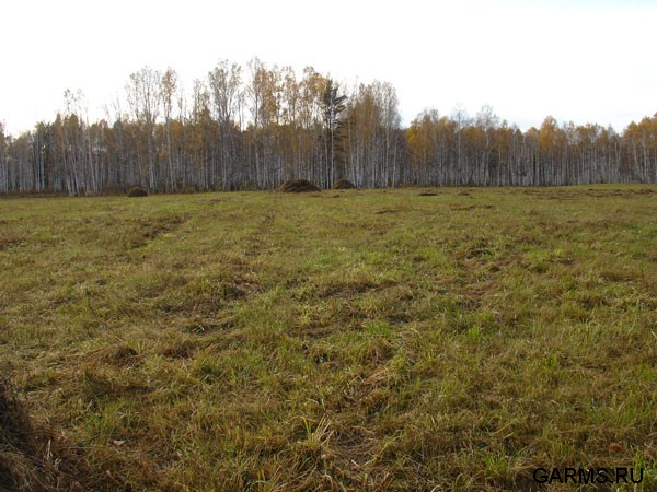 Осенняя охота на козла на реву октябрь 2007г.(Челябинская область)