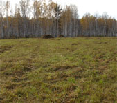 Осенняя охота на козла на реву октябрь 2007г.(Челябинская область)