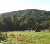 Местные красоты