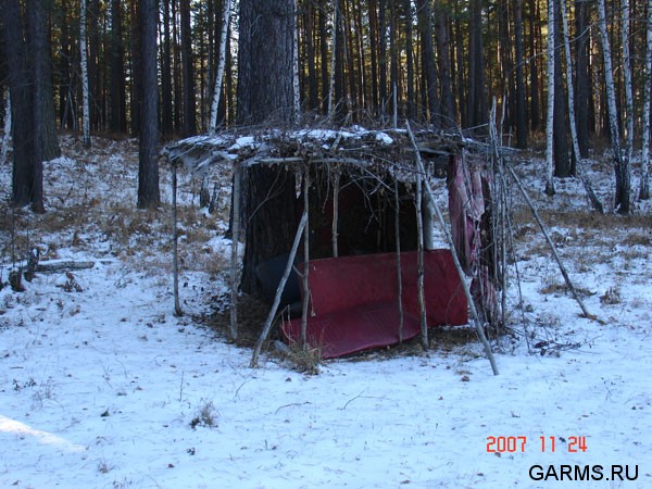 Обнаружили в лесу кордон бомжов.