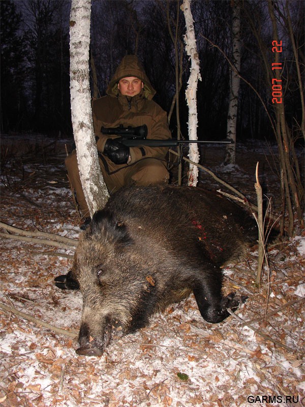 Дождались!!! Экземпляр не менее 200 кг.