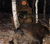 Охота на кабана и косулю ноябрь 2007г. (Челябинская область)