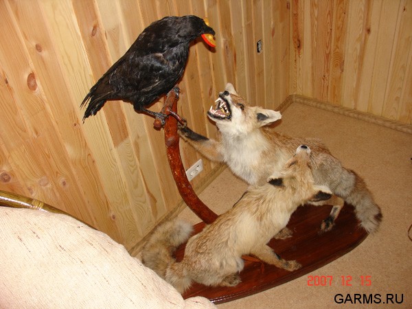 Вот так он их на охоте и застал...