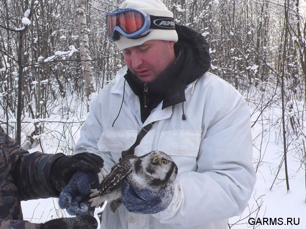 Новогодняя охота январь 2008г. (Челябинская область)
