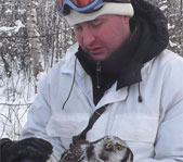 Новогодняя охота январь 2008г. (Челябинская область)