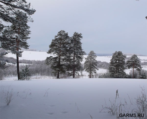 Новогодняя охота январь 2008г. (Челябинская область)