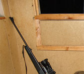 Охота на косулю и кабана октябрь-ноябрь 2008 г. (Челябинская область)