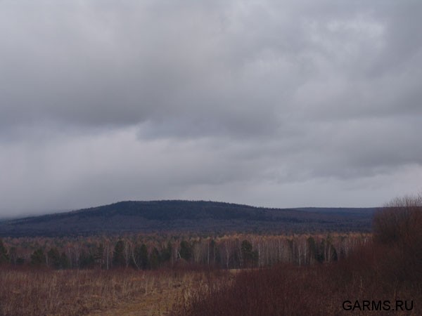 Охота на косулю и кабана октябрь-ноябрь 2008 г. (Челябинская область)