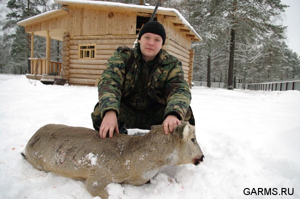 Загонная охота на косулю декабрь 2008г. (Челябинская область)