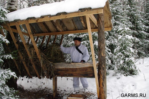 Загонная охота на косулю декабрь 2008г. (Челябинская область)