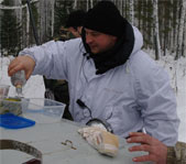 Загонная охота на косулю декабрь 2008г. (Челябинская область)