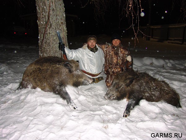 Охота на кабана январь 2009г. (Челябинская область)