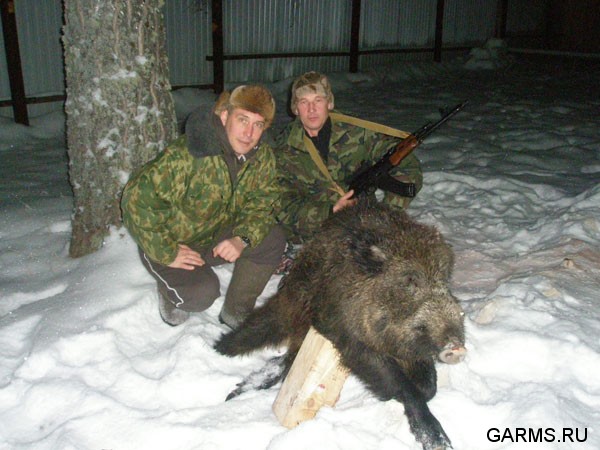Охота на кабана январь 2009г. (Челябинская область)