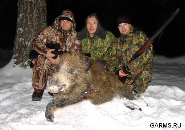 Охота на кабана январь 2009г. (Челябинская область)