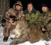 Охота на кабана январь 2009г. (Челябинская область)