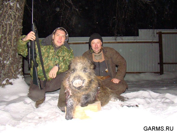 Охота на кабана январь 2009г. (Челябинская область)