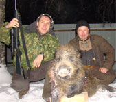 Охота на кабана январь 2009г. (Челябинская область)