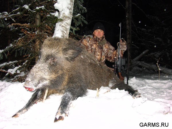 Охота на кабана январь 2009г. (Челябинская область)