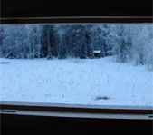 Охота на кабана январь 2009г. (Челябинская область)