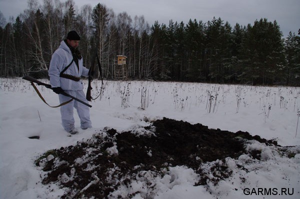 Охота на кабана январь 2009г. (Челябинская область)