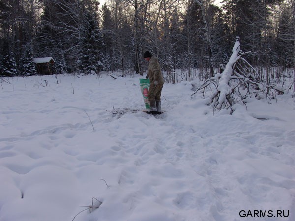 Охота на кабана январь 2009г. (Челябинская область)