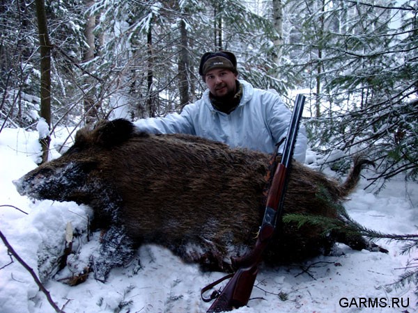 Охота на кабана январь 2009г. (Челябинская область)