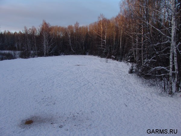 Охота на кабана январь 2009г. (Челябинская область)