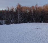 Охота на кабана январь 2009г. (Челябинская область)