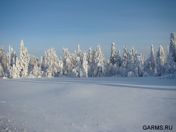 Охота на Северном Урале январь 2009г.