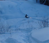 Охота на Северном Урале январь 2009г.