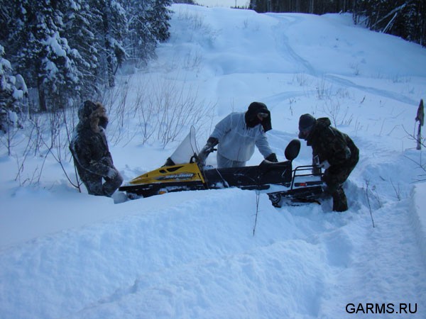 Охота на Северном Урале январь 2009г.