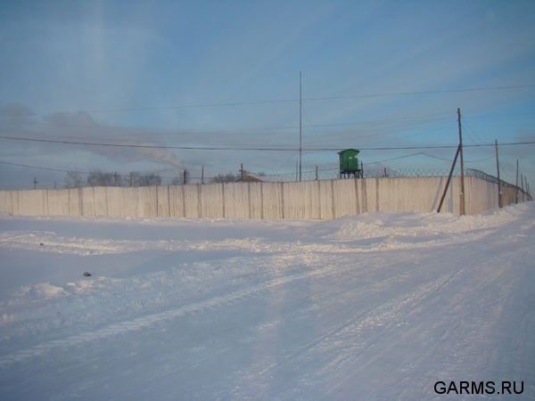 Охота на Северном Урале январь 2009г.