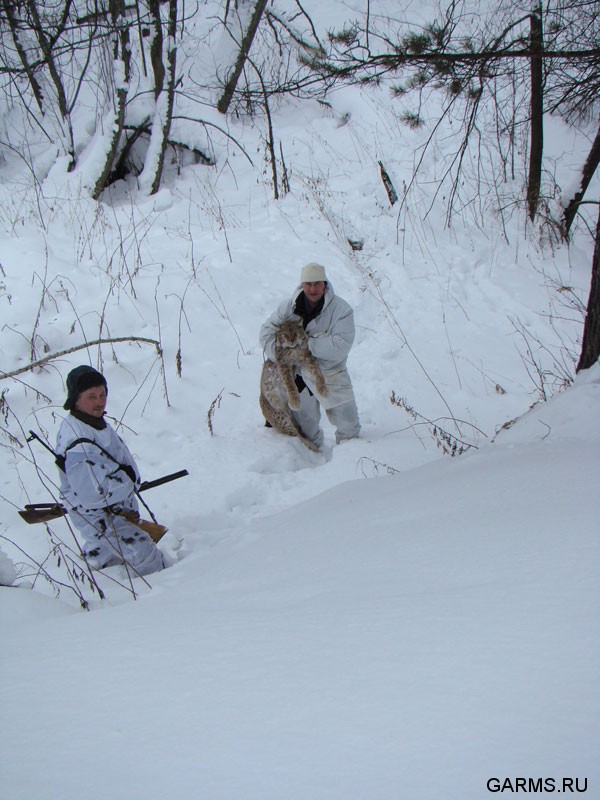 Охота на рысь январь, февраль 2009г. (Челябинская область)