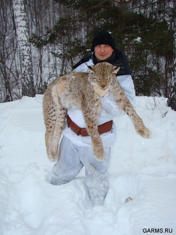 Охота на рысь январь, февраль 2009г. (Челябинская область)