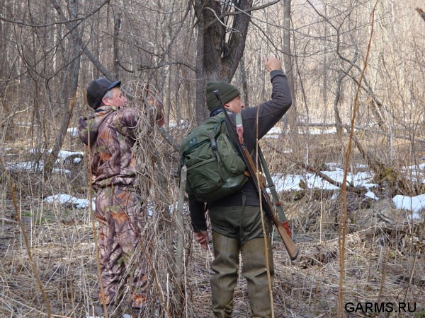 Охота на глухаря апрель-май 2009г. (Челябинская область)