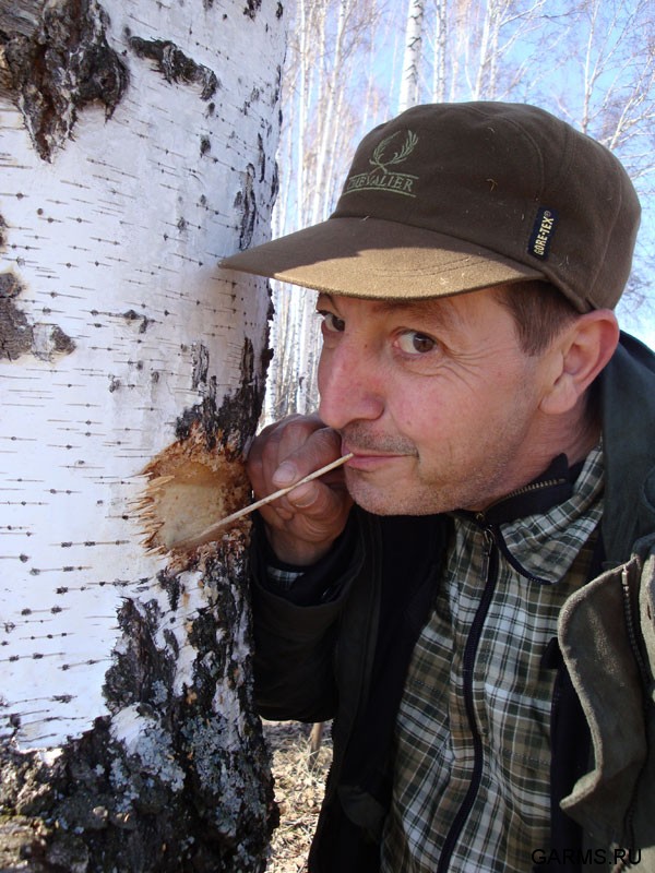 Охота на глухаря апрель-май 2009г. (Челябинская область)