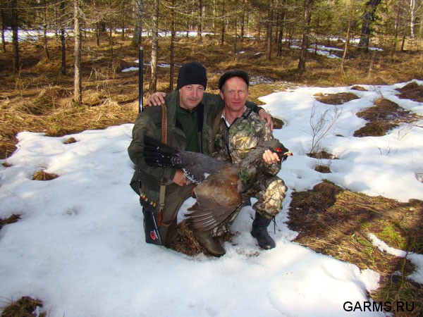 Охота на глухаря апрель-май 2009г. (Челябинская область)