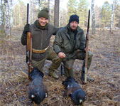 Охота на глухаря апрель-май 2009г. (Челябинская область)