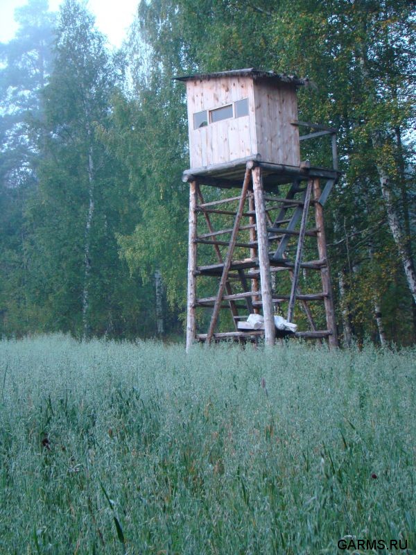 Охота  на кабана и медведя сентябрь 2009г. (Челябинская область)