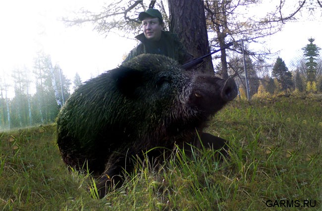 Осенняя охота октябрь 2009 г.(Челябинская область)