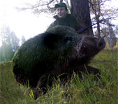 Осенняя охота октябрь 2009 г.(Челябинская область)