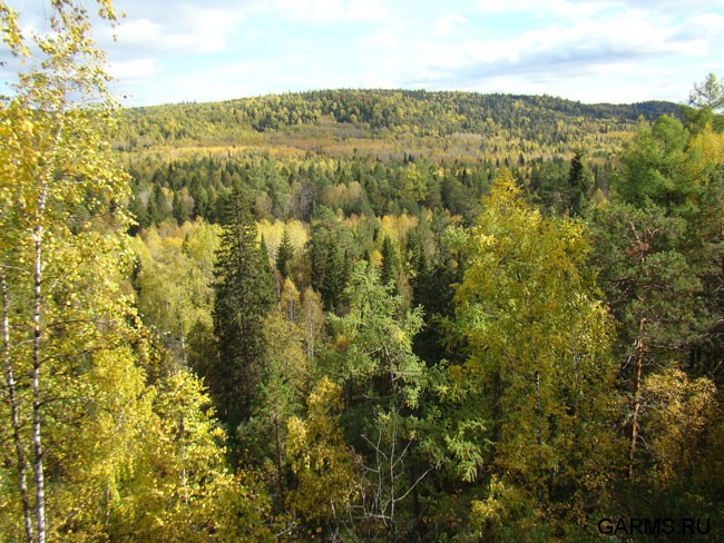 Осенняя охота октябрь 2009 г.(Челябинская область)