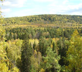 Осенняя охота октябрь 2009 г.(Челябинская область)