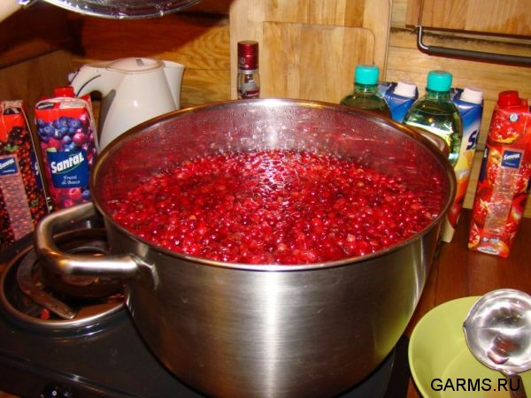 Охота на кабана декабрь 2009 год. (Челябинская область)