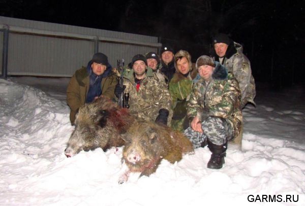 Охота на кабана декабрь 2009 год. (Челябинская область)