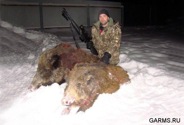 Охота на кабана декабрь 2009 год. (Челябинская область)