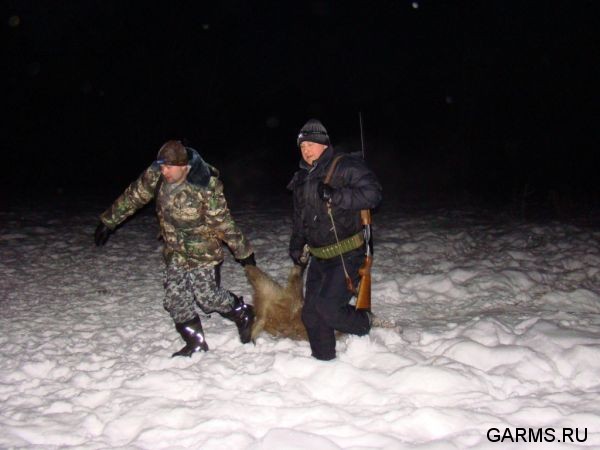 Охота на кабана декабрь 2009 год. (Челябинская область)