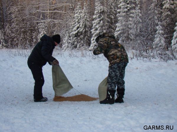 Охота на кабана декабрь 2009 год. (Челябинская область)